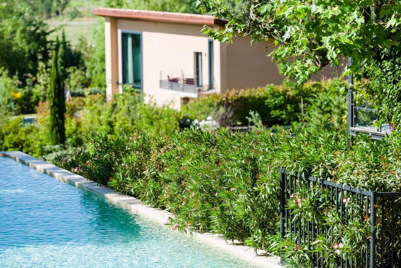 Les Sainte-victoire & Le Tholonet